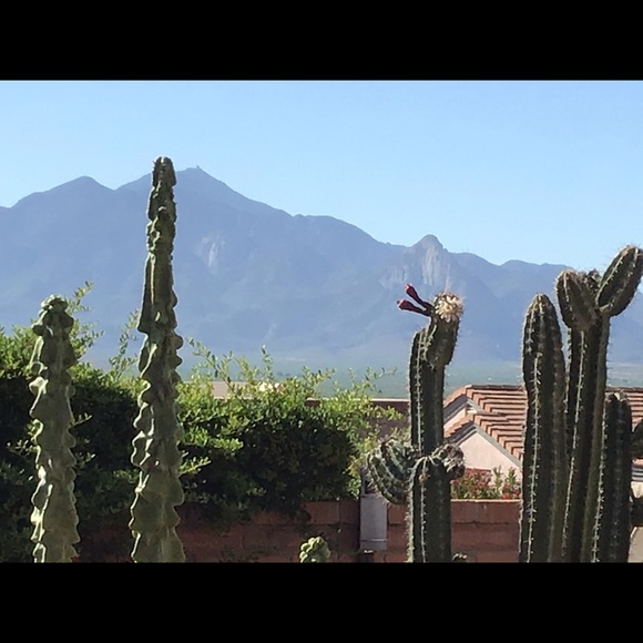 Meet your Posher, Donna - Picture 1 of 1